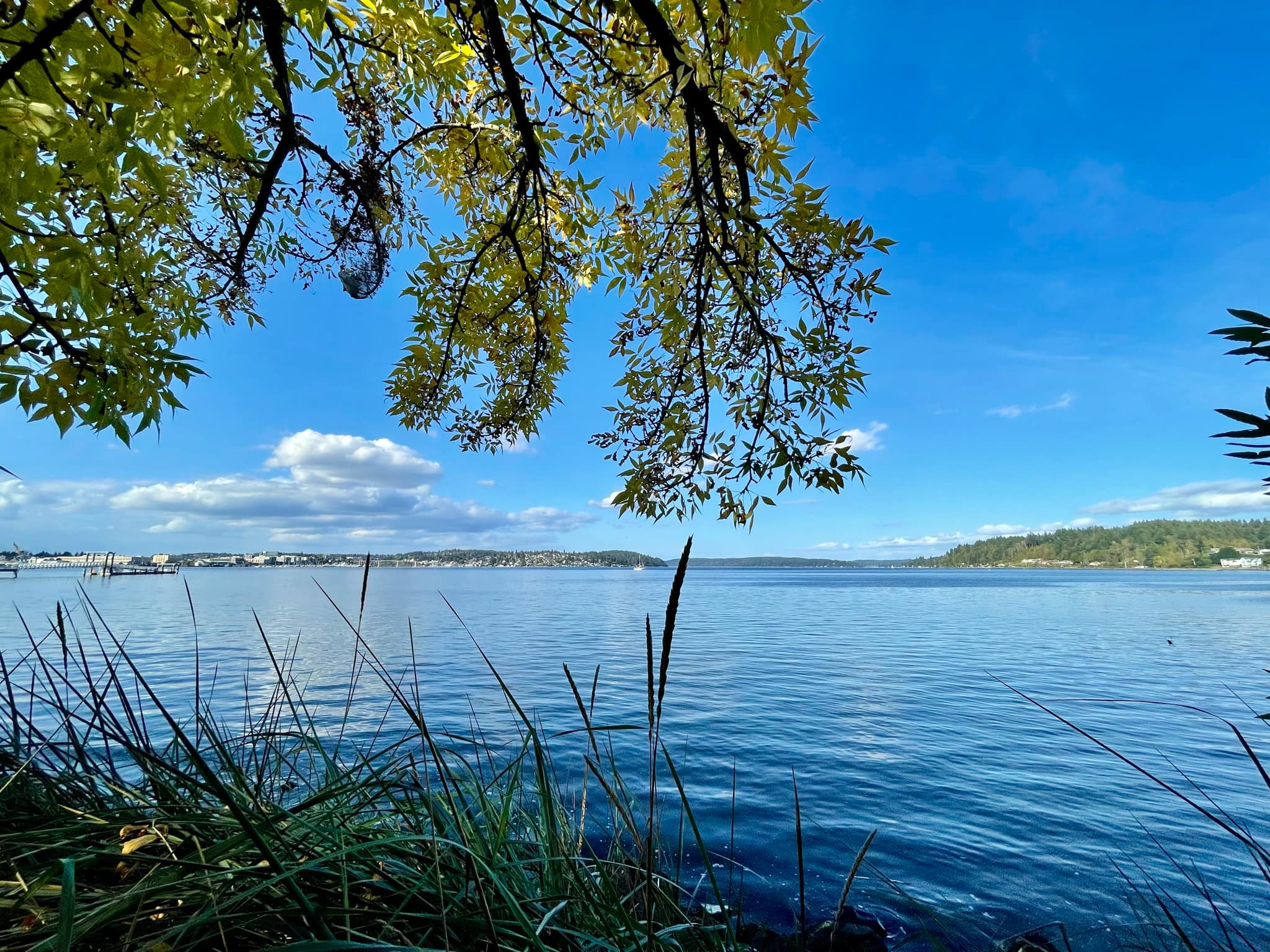 Wildlife reserve in South Kitsap